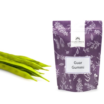 Guar Gummi