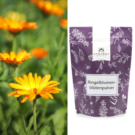 Ringelblumenblütenpulver