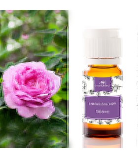 Ätherisches Rosmarinöl - Stimulierendes Aromaöl Für Aromatherapie | 50