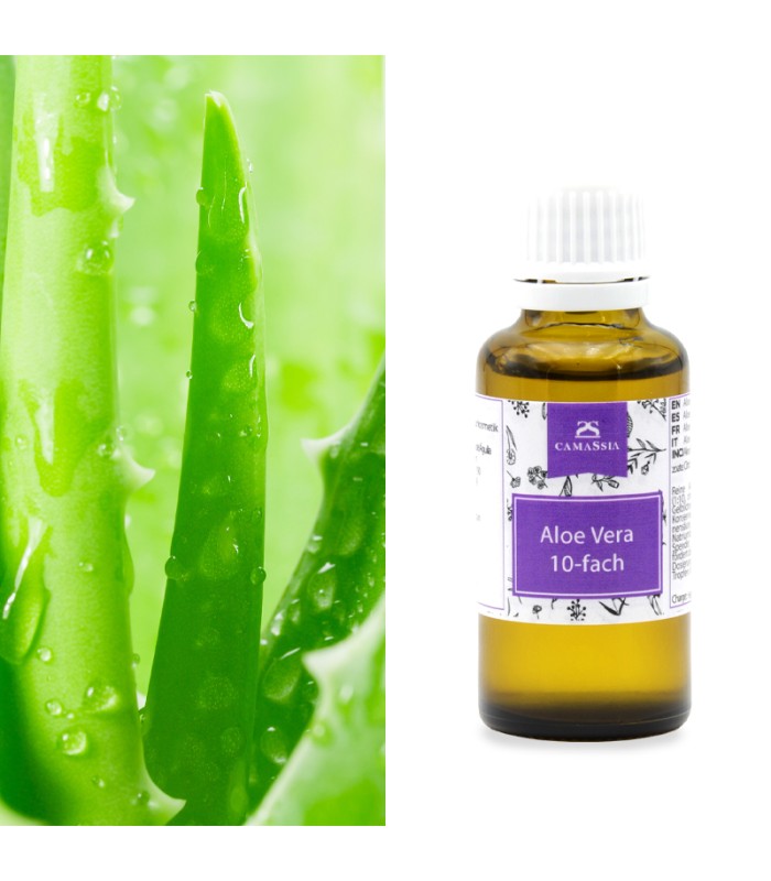 aloe vera soft skin cream Sri Sri Tattva USA Aloe Vera Vit - E Cream main image 1