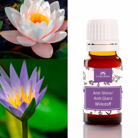 Activo Shine Control (anti-brillo)