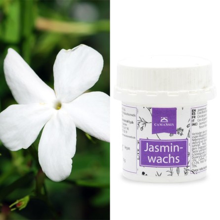Jasminwachs