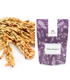 Gamma Oryzanol