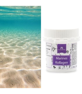 Marines Kollagen