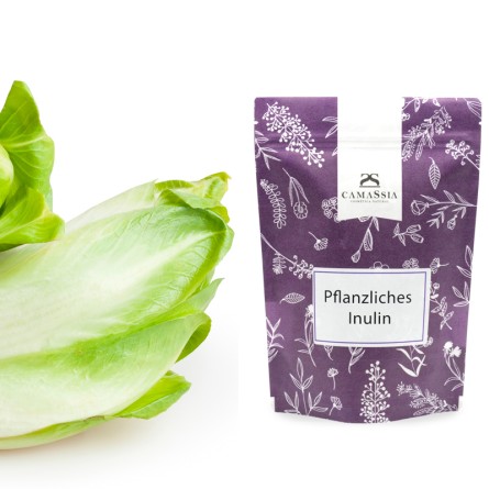 Pflanzliches Inulin