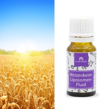 Weizenkeim Liposomen Fluid 30 %