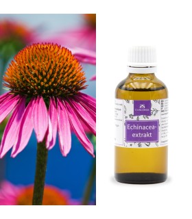 Echinaceaextrakt