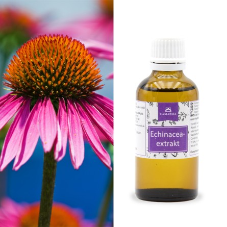 Echinaceaextrakt