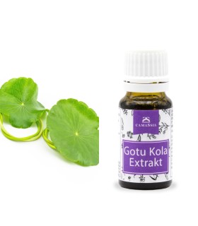Gotu Kola Extrakt