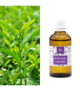 Grünteeextrakt