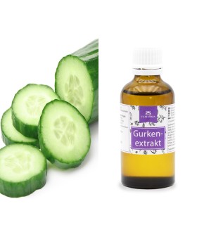 Gurkenextrakt