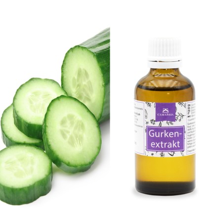 Gurkenextrakt