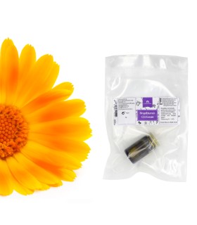 Ringelblumenextrakt, CO2-Extraktion (ohne Propylenglykol) 5 g