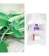 Salbeiextrakt, sanfte CO2-Extraktion, ohne Propylenglycol 5 g