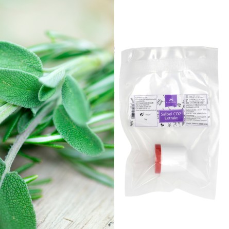 Salbeiextrakt, sanfte CO2-Extraktion, ohne Propylenglycol 5 g