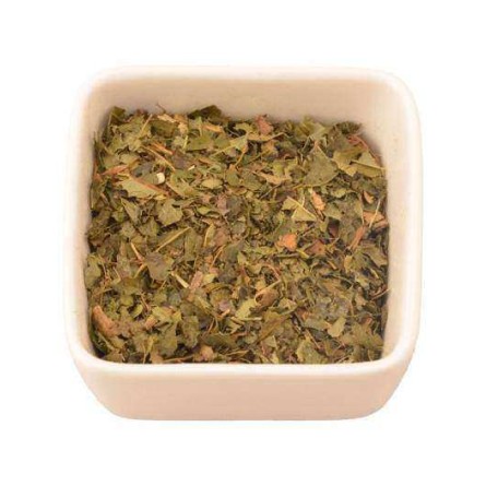 Hamamelis BIO (Hamamelis virginiana)