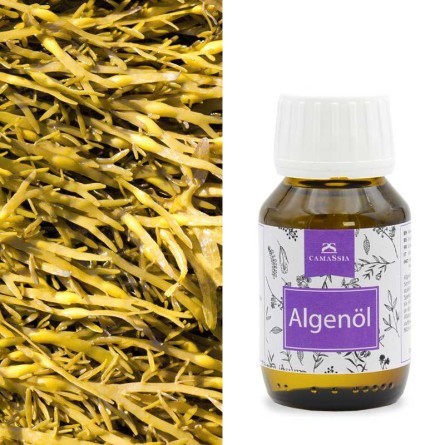 Algenöl