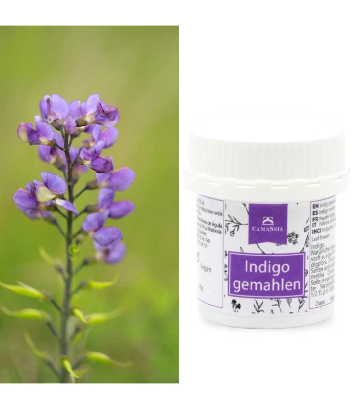 Natürlicher Indigo-Farbstoff - Indigofera Tinctoria Pulver, 100g Für Textilfärbung
