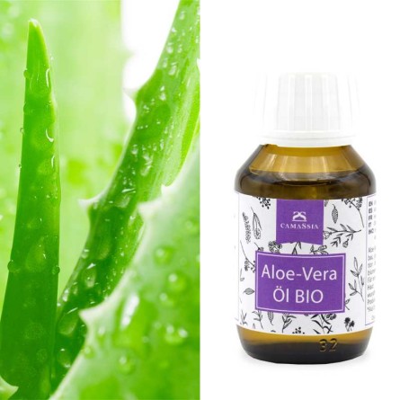 Aloe Vera Öl BIO