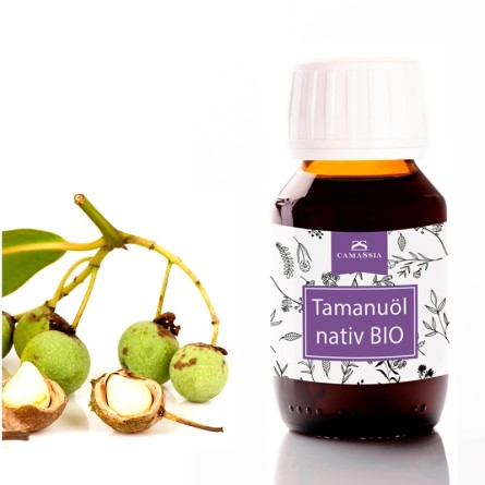 Tamanuöl BIO nativ (Calophyllum inophyllum)