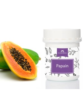 Papain (peelendes Enzym der Papaya)