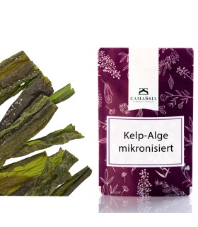 Kelp-Alge, mikronisiert