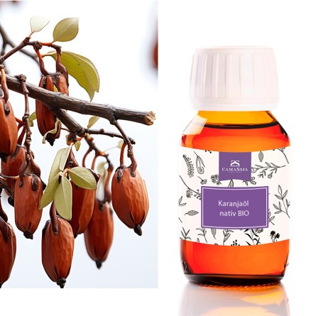 Karanjaöl nativ BIO
