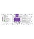 Melissenhydrolat BIO 250 ml