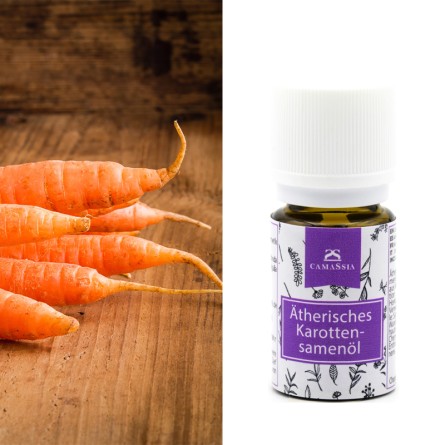 Ätherisches Karottensamenöl 5 ml