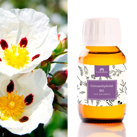 Cistrosenhydrolat BIO (Cistus ladaniferus) 250 ml
