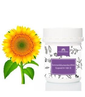 Sonnenblumenlecithin (Lipoid H-100 3)